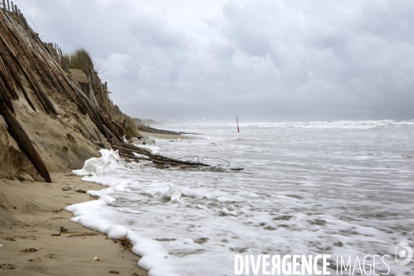 Erosion du littoral languedocien