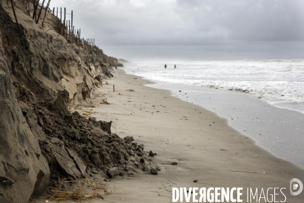 Erosion du littoral languedocien