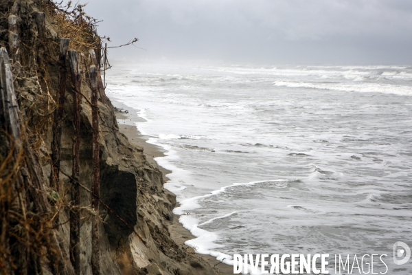 Erosion du littoral languedocien