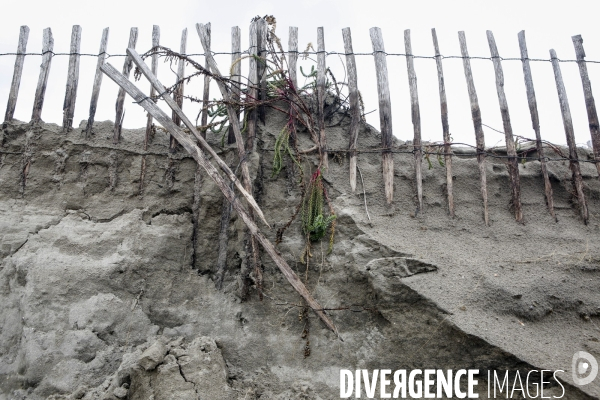 Erosion du littoral languedocien