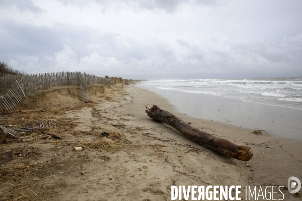 Erosion du littoral languedocien