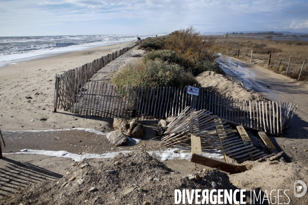 Erosion du littoral languedocien
