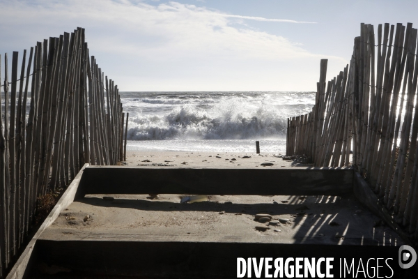 Erosion du littoral languedocien