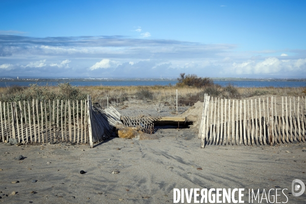 Erosion du littoral languedocien