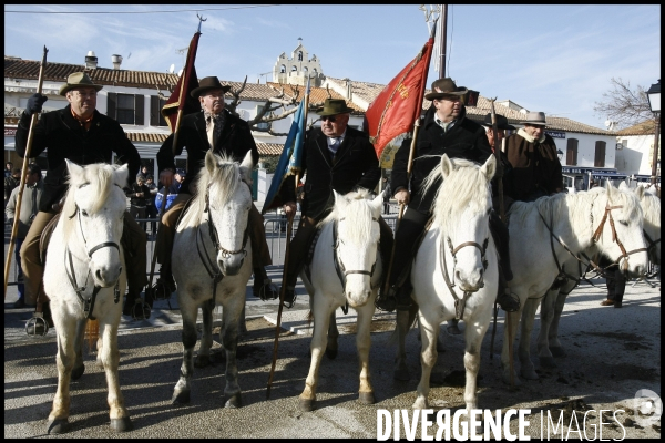 Deplacement de nicolas sarkozy en camargues