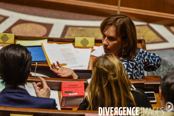 Avortement, débat sur le délit d entrave. Assemblée nationale.