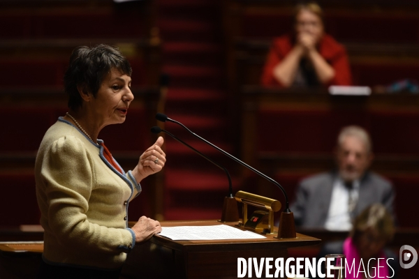 Avortement, débat sur le délit d entrave. Assemblée nationale.