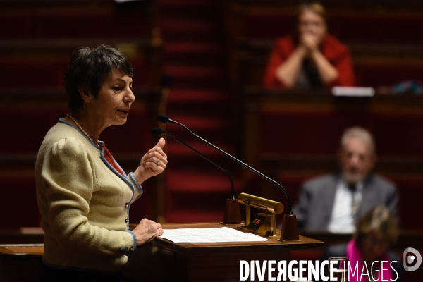 Avortement, débat sur le délit d entrave. Assemblée nationale.