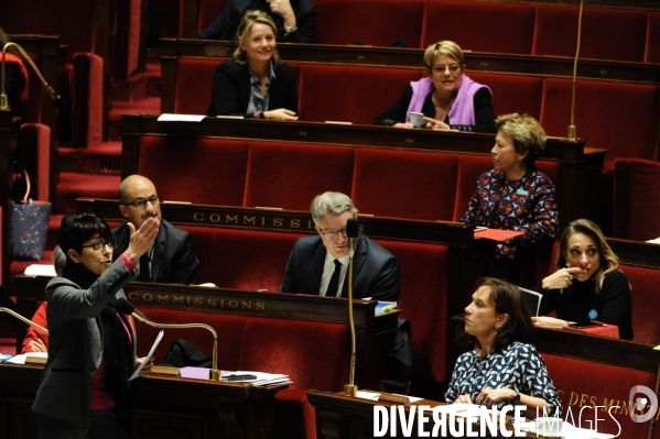 Avortement, débat sur le délit d entrave. Assemblée nationale.