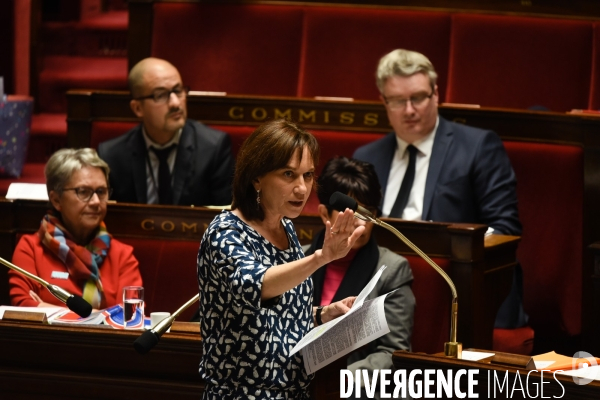 Avortement, débat sur le délit d entrave. Assemblée nationale.