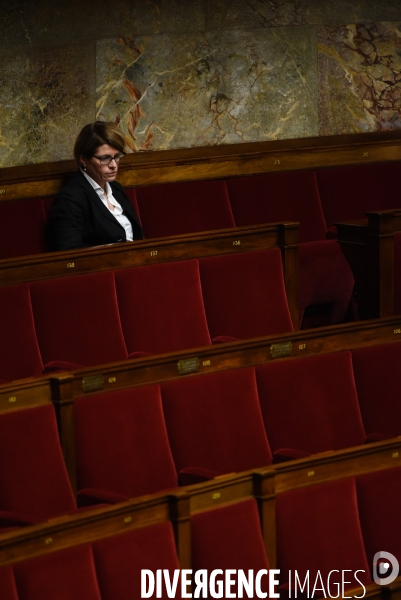 Avortement, débat sur le délit d entrave. Assemblée nationale.