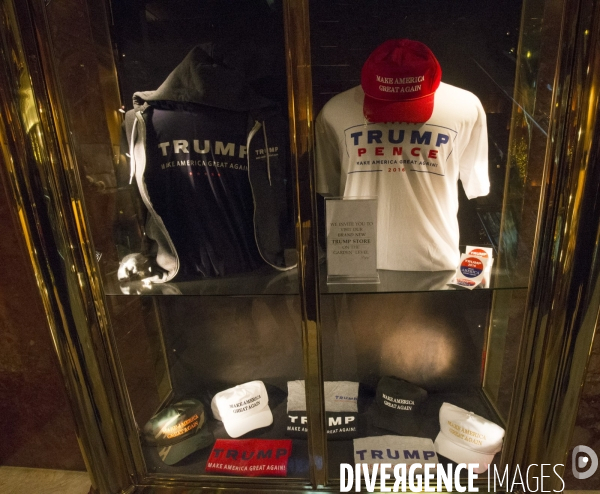 La protection de donald trump  a new york