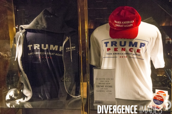 La protection de donald trump  a new york