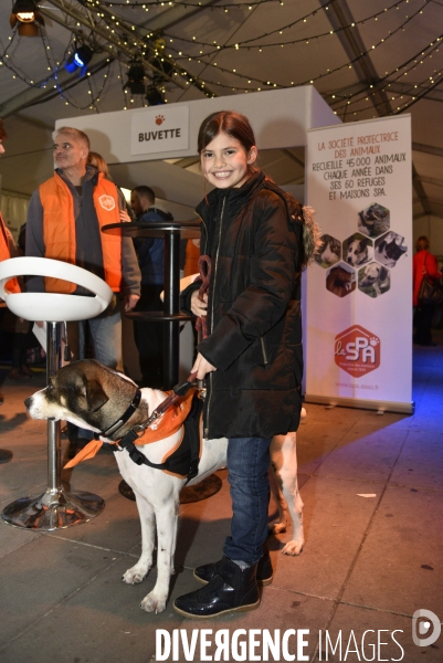 SPA, chiens et chats à l adoption au Noel des animaux