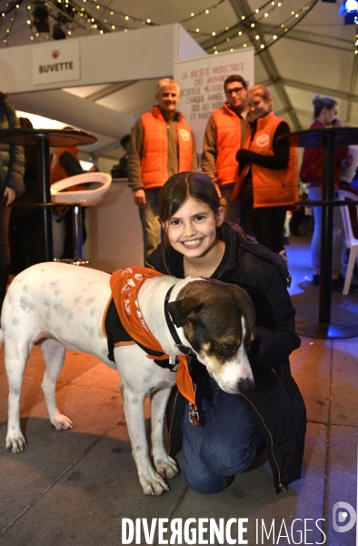 SPA, chiens et chats à l adoption au Noel des animaux