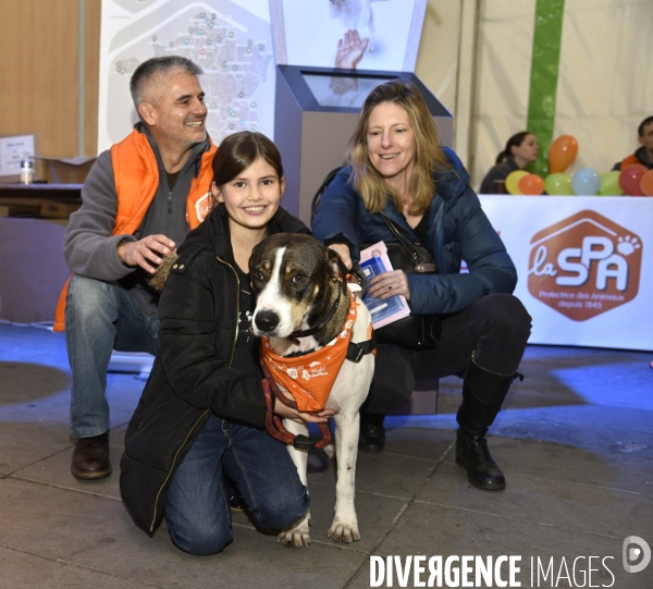 SPA, chiens et chats à l adoption au Noel des animaux