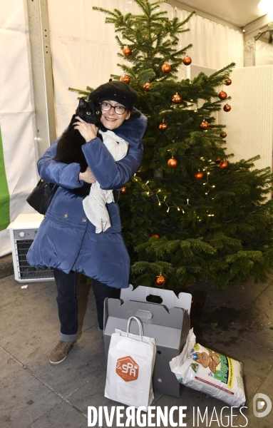 SPA, chiens et chats à l adoption au Noel des animaux