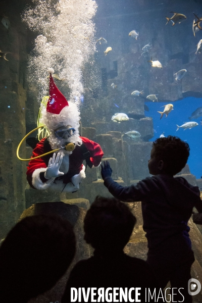 Le père Noël plonge avec les poissons exotiques de l Aquarium de Paris.