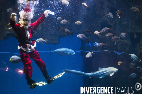 Le père Noël plonge avec les poissons exotiques de l Aquarium de Paris.