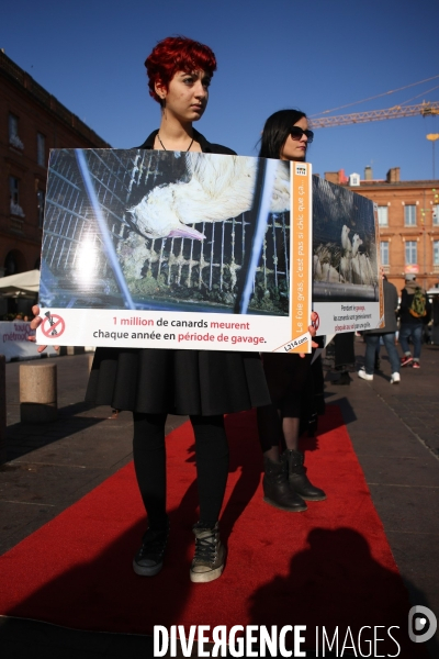 Manifestation contre la consommation de foie gras
