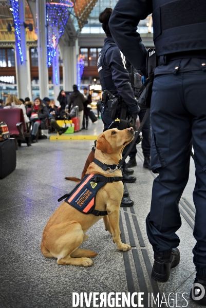 Militaire gare de Lyon