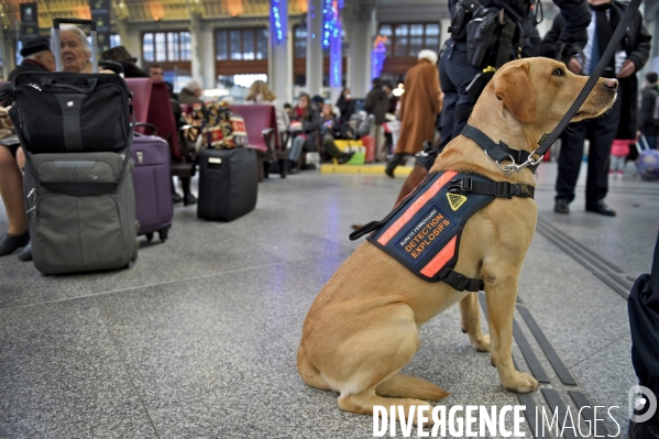 Militaire gare de Lyon