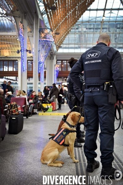 Militaire gare de Lyon