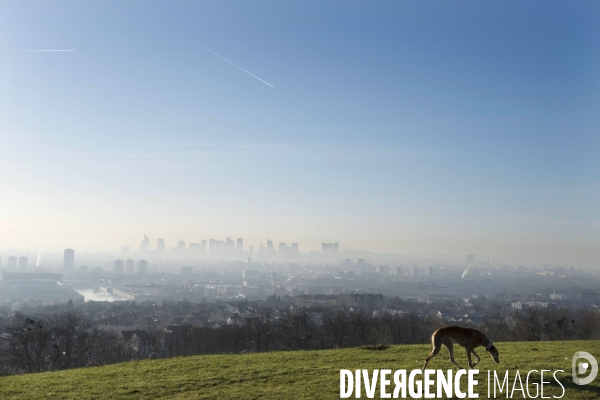 Pollution à Paris et en banlieue parisienne