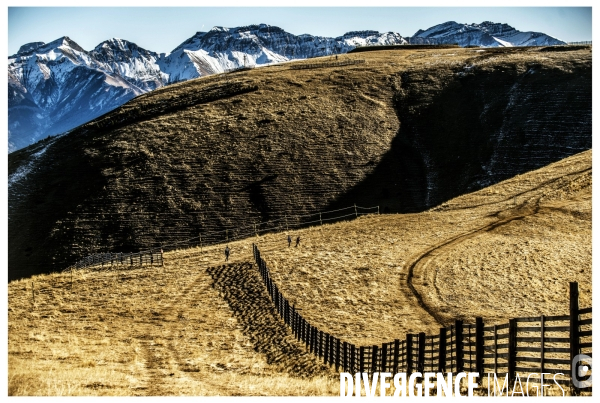 Quand la neige fond où va le blanc® ?