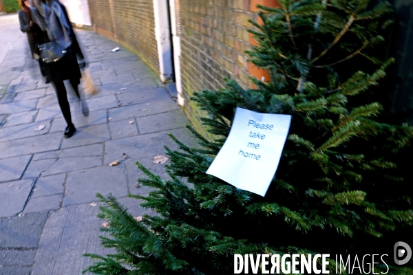 Londres.Un sapin a la rue avec cette notice en forme de supplique, s il vous plait amener moi a la maison