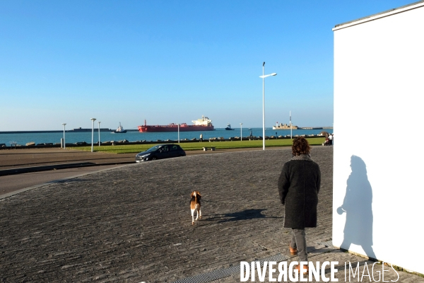 Illustration Decembre2016.L entree d un cargo  vue du parvis du musee d art moderne ou une femme promene son chien