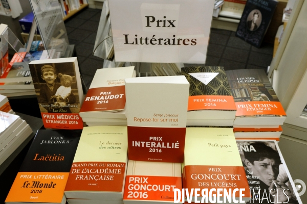 Illustration Decembre2016.Des pix litteraires  a la librairie la Galerne