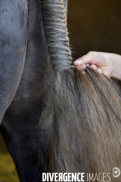 L Ecole nationale d équitation, le Cadre Noir