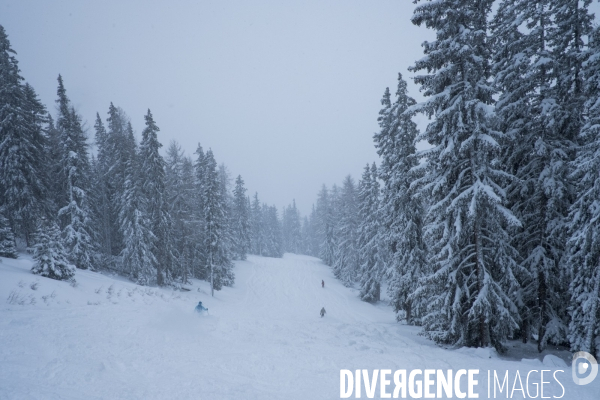 La neige arrive (enfin) dans les Alpes