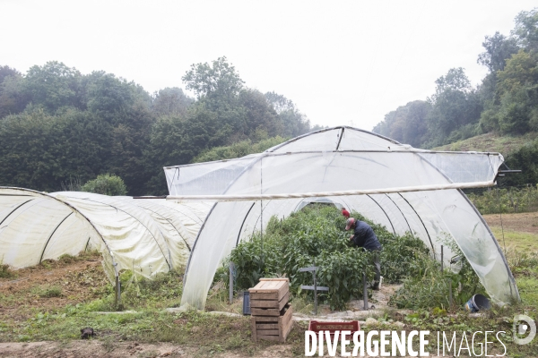 La ferme de Moyembrie, dans l Ainse, sas de réinsertion pour des détenus en fin de peine