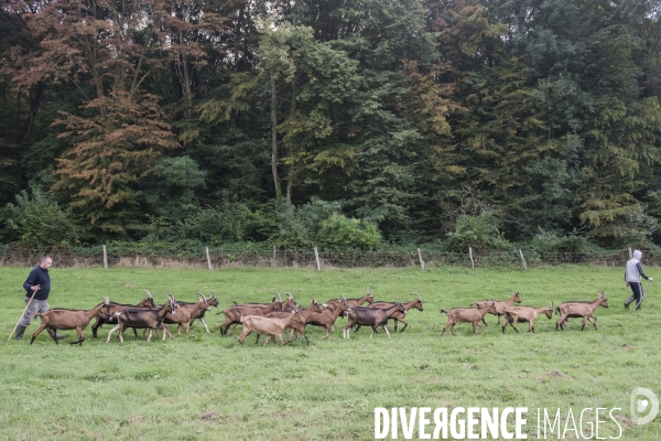 La ferme de Moyembrie, dans l Ainse, sas de réinsertion pour des détenus en fin de peine