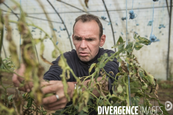 La ferme de Moyembrie, dans l Ainse, sas de réinsertion pour des détenus en fin de peine