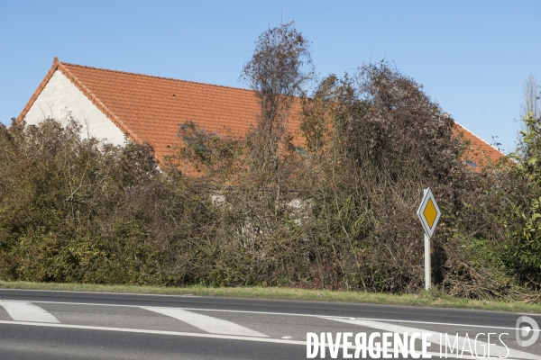 Ecquevilly, une petite France en Campagne
