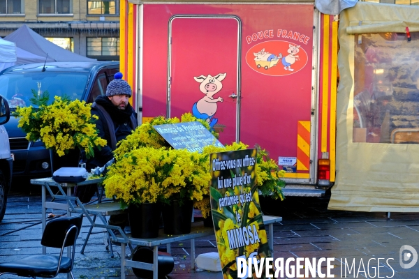 Bruxelles.Un vendeur de mimosa au marche de la place du Flagey.