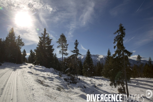 Sur les Traces de Martin Fourcade