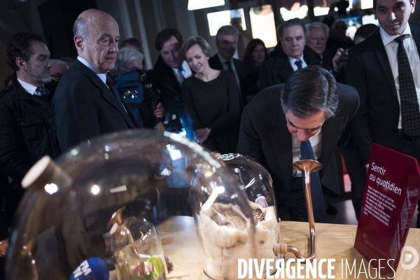 François Fillon à Bordeaux