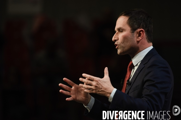 Benoît Hamon meeting de Lille