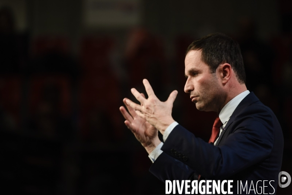 Benoît Hamon meeting de Lille