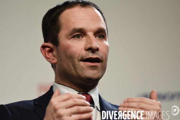 Benoît Hamon meeting de Lille