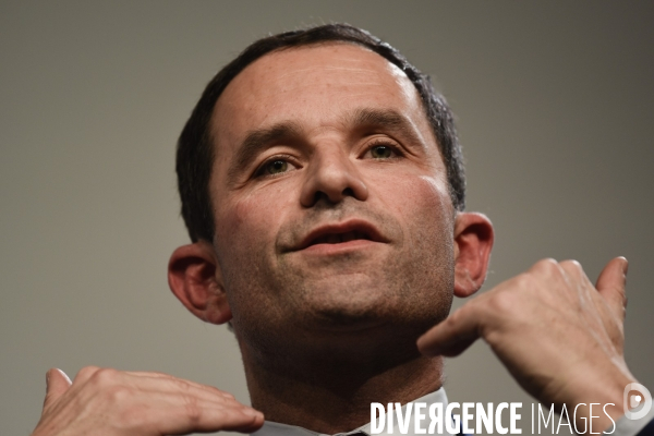 Benoît Hamon meeting de Lille