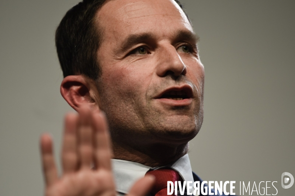 Benoît Hamon meeting de Lille