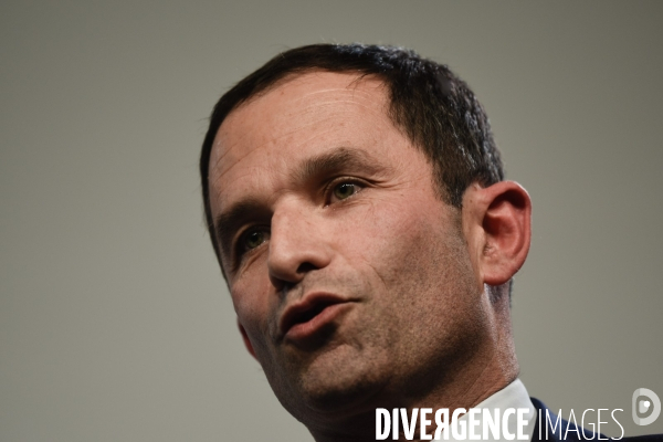 Benoît Hamon meeting de Lille