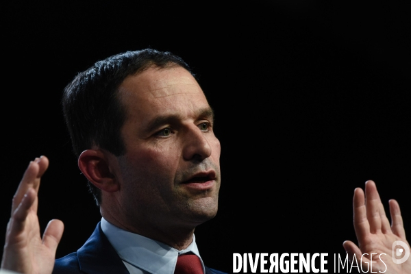 Benoît Hamon meeting de Lille