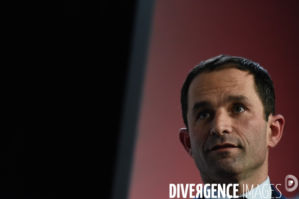 Benoît Hamon meeting de Lille