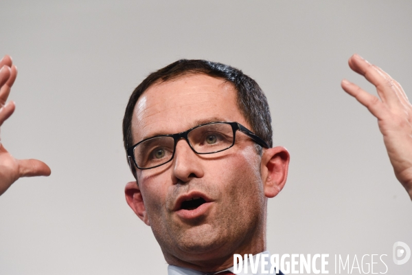 Benoît Hamon meeting de Lille